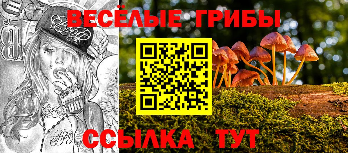 Галлюциногенные грибы Psilocybine cubensis  Вход с VPN  Галлюциногенные грибы Cubensis  Еманжелинск 